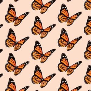 Meet your Posher, Bobbie